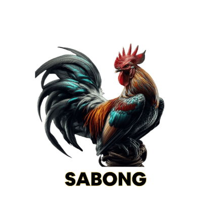 SABONG